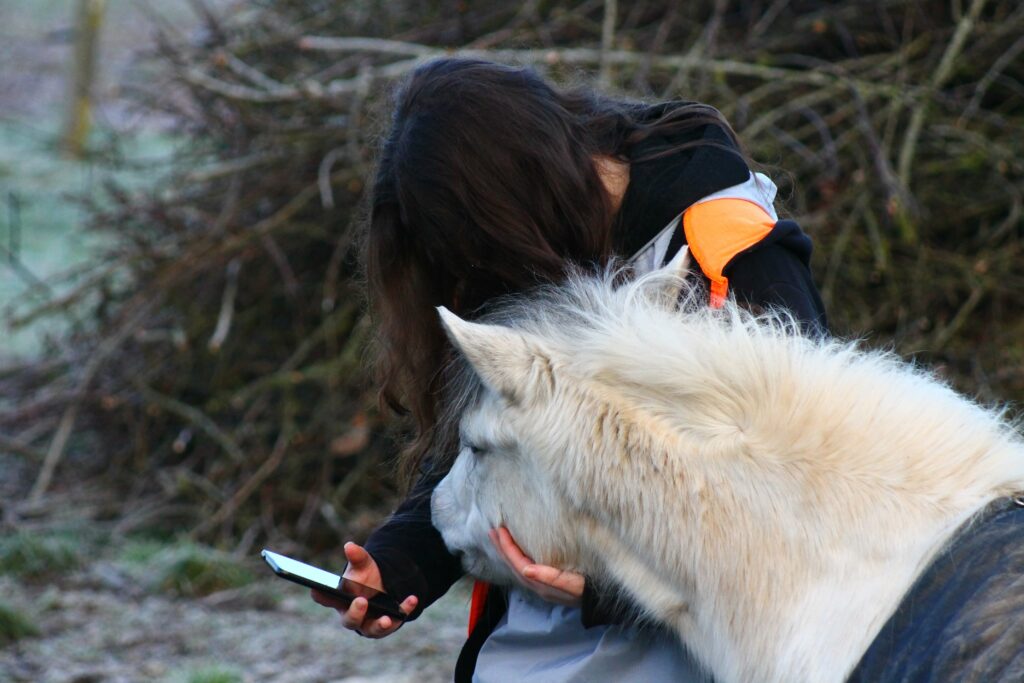 La thérapie avec le cheval permet aussi de se déconnecter des réseaux, du virtuel un instant pour revenir au vivant et se reconnecter à soi et ses émotions.