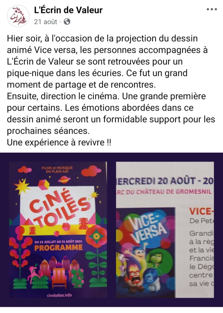Projection du dessin Animé Vice Versa en soirée suite à un pique-nique dans les Ecuries de L'Écrin de Valeur en compagnie des chevaux. Travail sur les émotions en prévision pour les prochaines séances.